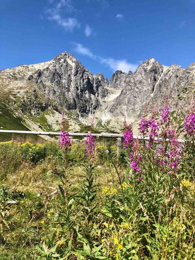 Apartman Lesnicek Stará Lesná Exteriör bild